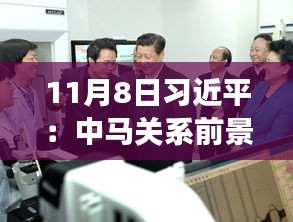 11月8日習近平：中馬關系前景光明 未來可期，11月8日習近平主席談中馬關系，未來光明，前景可期