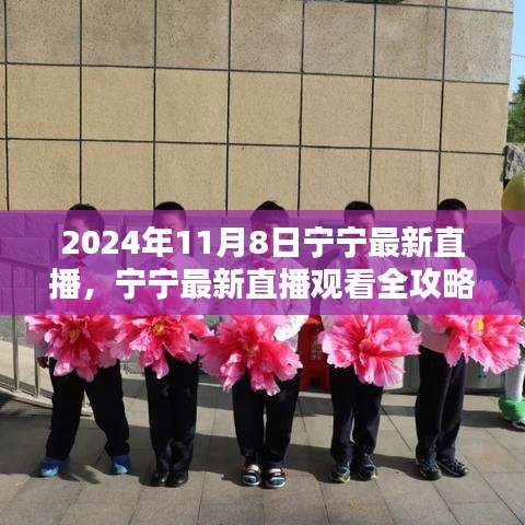 寧寧直播指南，2024年11月8日直播觀看全攻略與入門指南