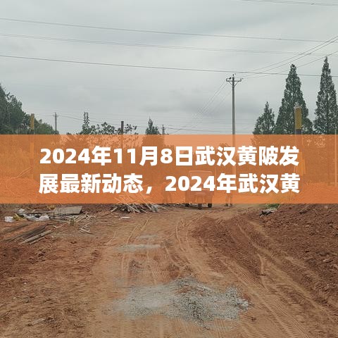 2024年武漢黃陂發(fā)展最新動(dòng)態(tài)探索，融入?yún)^(qū)域發(fā)展大潮的步伐