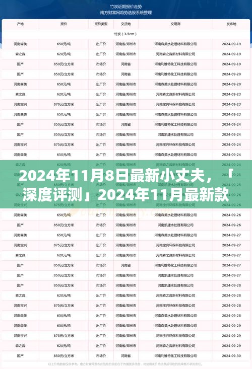 深度評測，全方位解析2024年最新款小丈夫產(chǎn)品特性與用戶體驗(yàn)體驗(yàn)報(bào)告