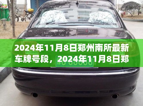 2024年鄭州南所最新車牌號(hào)段解讀與案例分析