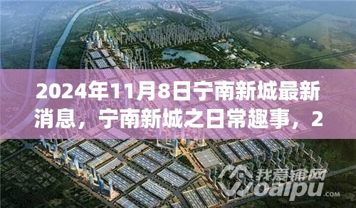 寧南新城日常趣事與陽光溫情，2024年11月8日最新消息