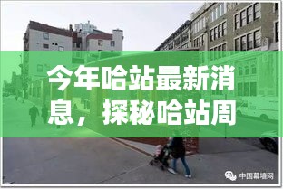 哈站周邊小巷隱藏一家特色小店，獨特環(huán)境驚艷亮相，等你來探秘！