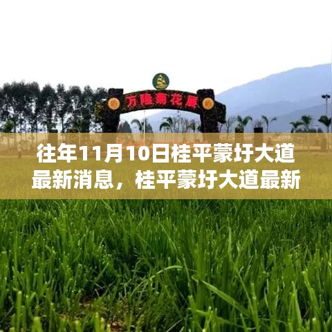 桂平蒙圩大道最新動(dòng)態(tài)獲取全攻略，輕松掌握最新消息動(dòng)態(tài)