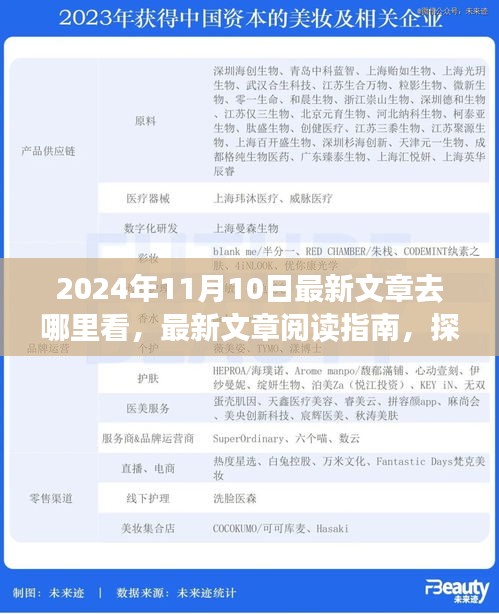 探尋最新文章閱讀指南，揭秘2024年11月10日的精彩內(nèi)容