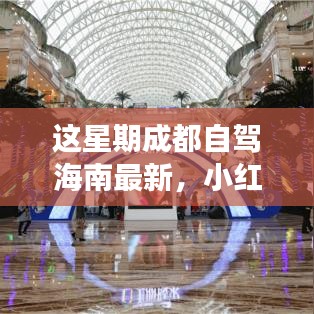 小紅書爆款！成都自駕海南極致之旅最新攻略來襲