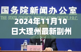 大理州副州長名單背后的勵志故事與變化力量，新篇章揭曉，勵志故事與變化力量在副州長名單中展現的2024年大理州新篇章