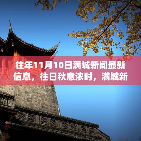 滿城新聞背后的溫馨故事，秋意濃時歷年11月10日最新資訊速遞