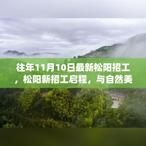 松陽最新招工啟程，與自然美景的邂逅，開啟寧靜之旅的職場探索