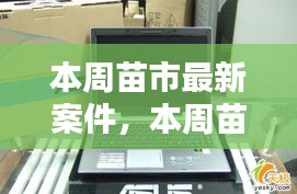 本周苗市熱點揭秘，最新案件動態(tài)全掌握