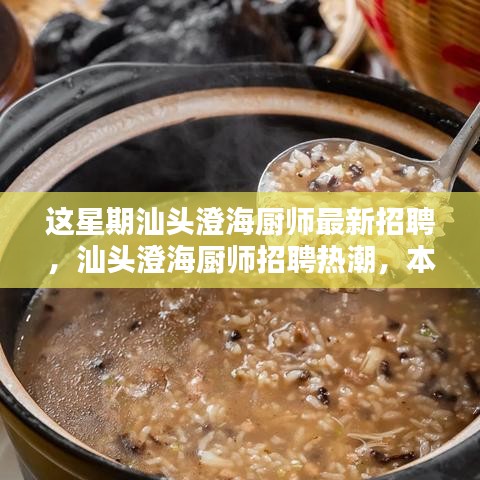 汕頭澄海廚師招聘熱潮揭秘，本周最新動態(tài)與影響