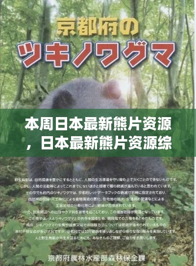 日本最新熊片資源綜述，背景、進(jìn)展與特定領(lǐng)域地位探討