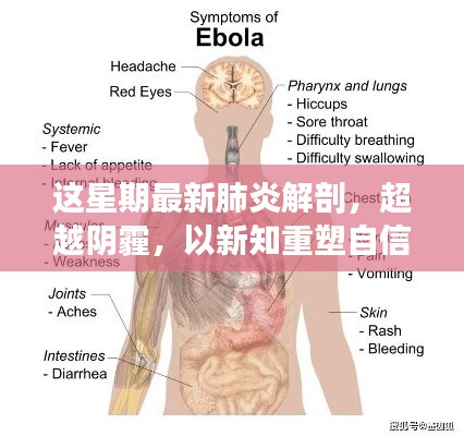 超越陰霾，最新肺炎解剖啟示錄，重塑信心與新知的探索