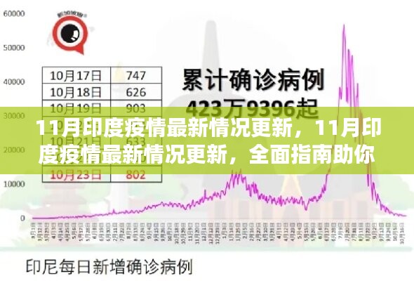 全面指南，了解并應(yīng)對(duì)印度疫情最新情況更新