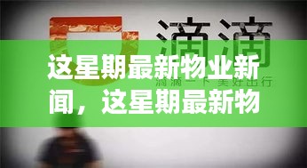 最新物業(yè)新聞一周概覽，全面解讀物業(yè)領(lǐng)域最新動(dòng)態(tài)