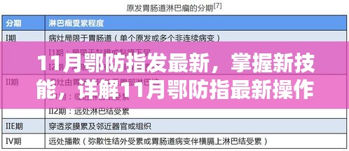 11月鄂防指最新操作流程步驟指南，掌握新技能的詳解