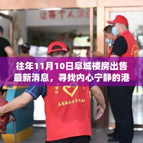 阜城樓房最新出售消息，尋找心靈寧靜的自然探索之旅