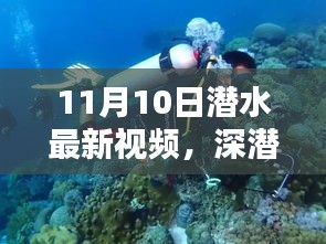 揭秘深潛新紀(jì)元，潛水最新視頻的時(shí)代意義與影響（11月10日更新）