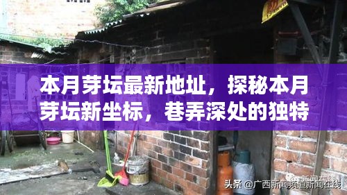 探秘本月芽壇新坐標(biāo)，巷弄深處的獨(dú)特小店最新地址揭秘