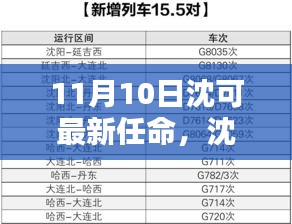 沈可新任命的背后，背景、影響與時(shí)代地位分析（最新更新）