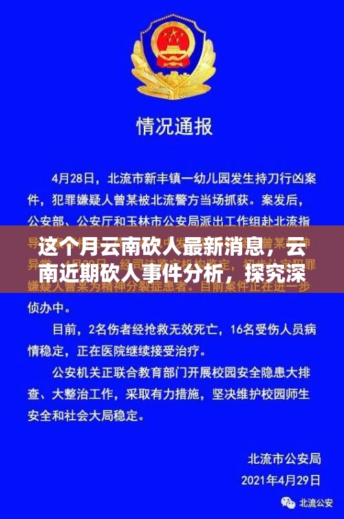 云南砍人事件最新消息，深層原因探究與各方觀點分析