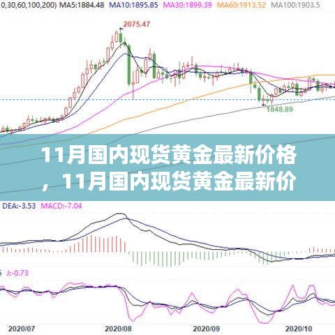 11月國內現(xiàn)貨黃金最新價格深度解析與全面評測報告