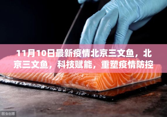 北京三文魚疫情防控新篇章，科技賦能重塑防線與前沿體驗(yàn)解讀