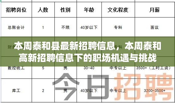 本周泰和高新招聘信息更新，職場機(jī)遇與挑戰(zhàn)揭秘