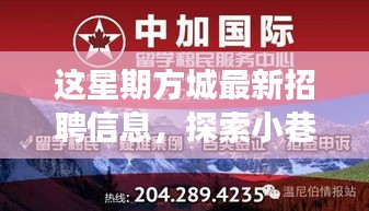 方城最新招聘信息揭秘，小巷秘境與獨(dú)特小店之旅