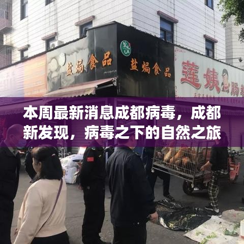 成都病毒新發(fā)現(xiàn)，自然之旅中的心靈港灣探尋