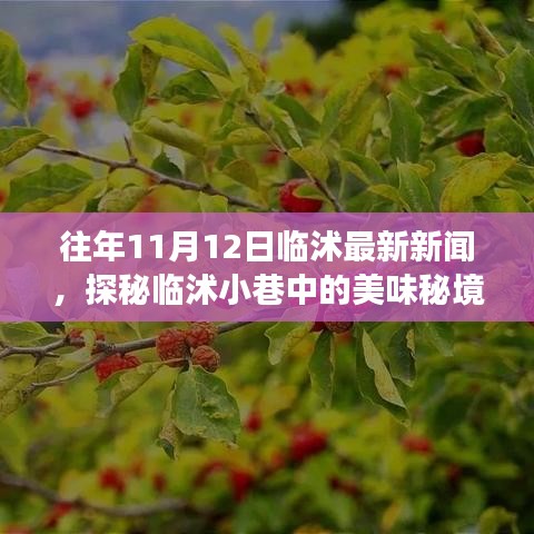 探秘臨沭小巷美味秘境，11月12日臨沭最新新聞中的隱藏美食店揭秘