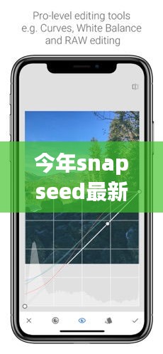 Snapseed最新版下載，回顧發(fā)展歷程，時(shí)代印記下的影響與地位