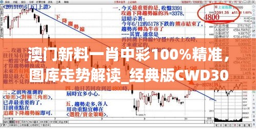 澳門新料一肖中彩100%精準(zhǔn)，圖庫走勢解讀_經(jīng)典版CWD305.61