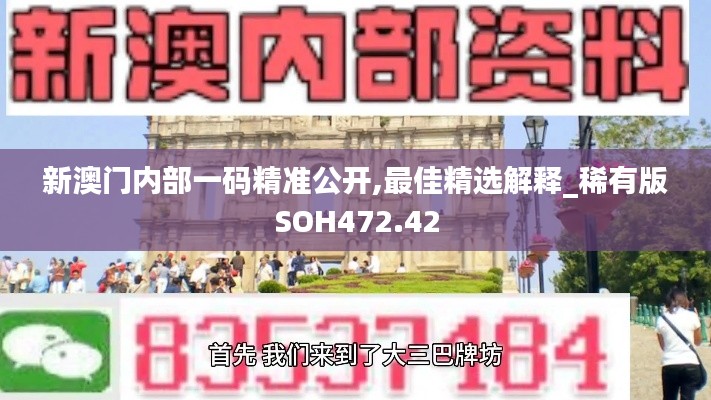 新澳門內(nèi)部一碼精準公開,最佳精選解釋_稀有版SOH472.42