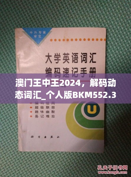 澳門王中王2024，解碼動(dòng)態(tài)詞匯_個(gè)人版BKM552.33指南