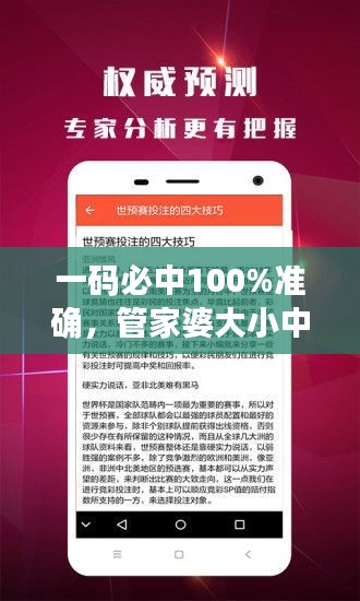 一碼必中100%準確，管家婆大小中特解析，戶外版ZNA113.77深度剖析