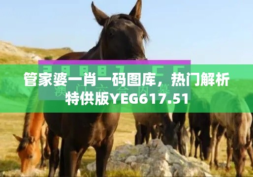 管家婆一肖一碼圖庫，熱門解析特供版YEG617.51