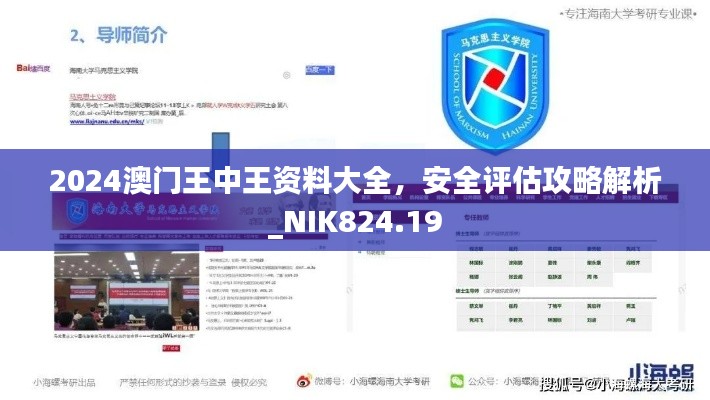 2024澳門王中王資料大全，安全評估攻略解析_NIK824.19