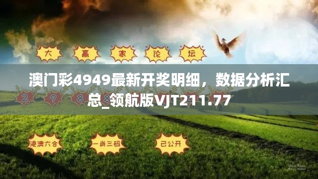 澳門彩4949最新開獎(jiǎng)明細(xì)，數(shù)據(jù)分析匯總_領(lǐng)航版VJT211.77