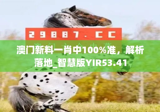 澳門新料一肖中100%準，解析落地_智慧版YIR53.41