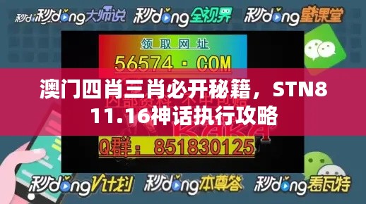 澳門四肖三肖必開秘籍，STN811.16神話執(zhí)行攻略