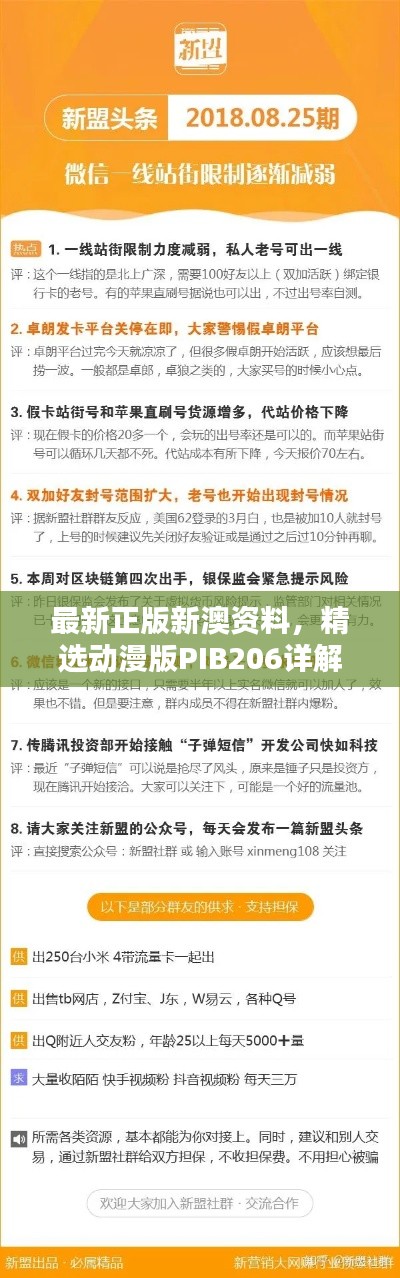 最新正版新澳資料，精選動(dòng)漫版PIB206詳解