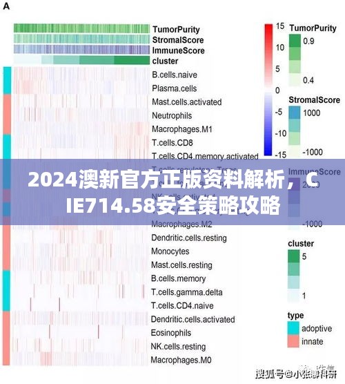 2024澳新官方正版資料解析，CIE714.58安全策略攻略