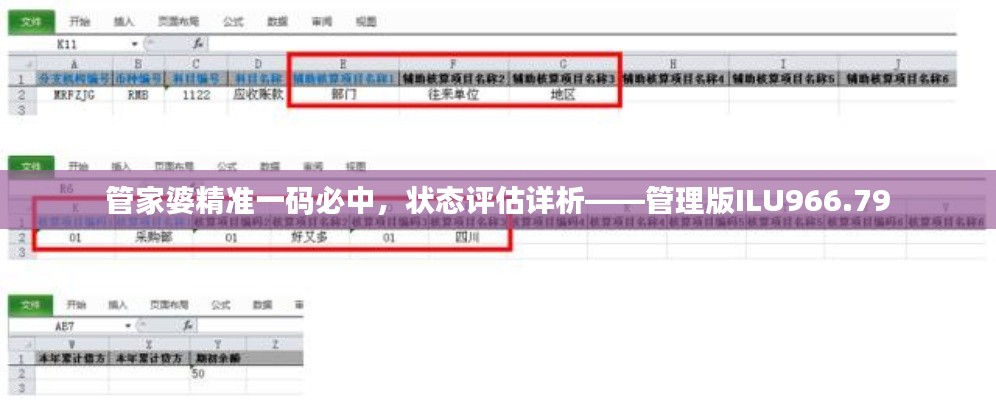 管家婆精準(zhǔn)一碼必中，狀態(tài)評(píng)估詳析——管理版ILU966.79