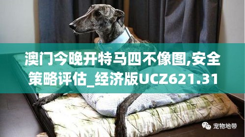 澳門今晚開特馬四不像圖,安全策略評估_經(jīng)濟(jì)版UCZ621.31