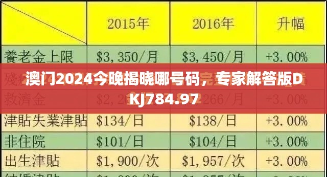 澳門2024今晚揭曉哪號碼，專家解答版DKJ784.97