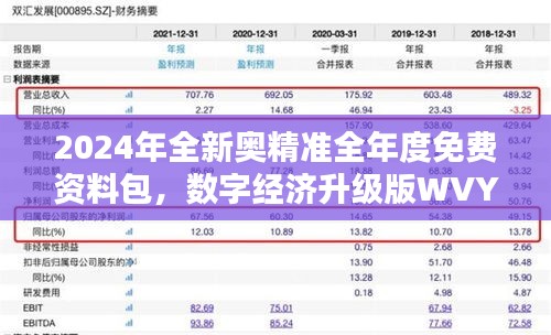 2024年全新奧精準(zhǔn)全年度免費(fèi)資料包，數(shù)字經(jīng)濟(jì)升級(jí)版WVY560.95