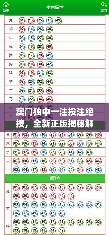 澳門獨中一注投注絕技，全新正版揭秘解析_GBL206.5通用版