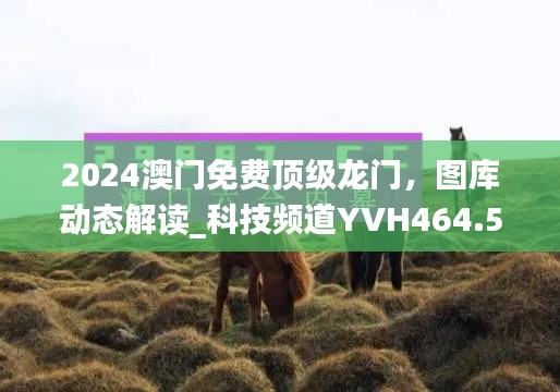 2024澳門免費(fèi)頂級龍門，圖庫動態(tài)解讀_科技頻道YVH464.54