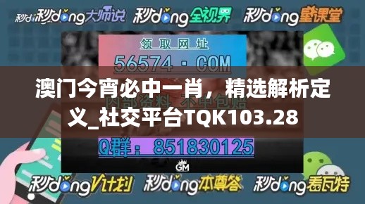 澳門今宵必中一肖，精選解析定義_社交平臺(tái)TQK103.28